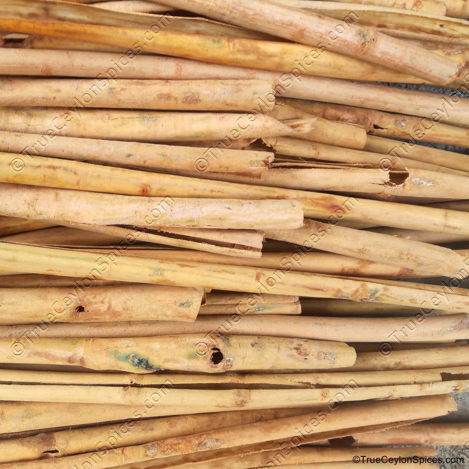 Certified Organic Ceylon Alba Cinnamon Sticks - Image 14