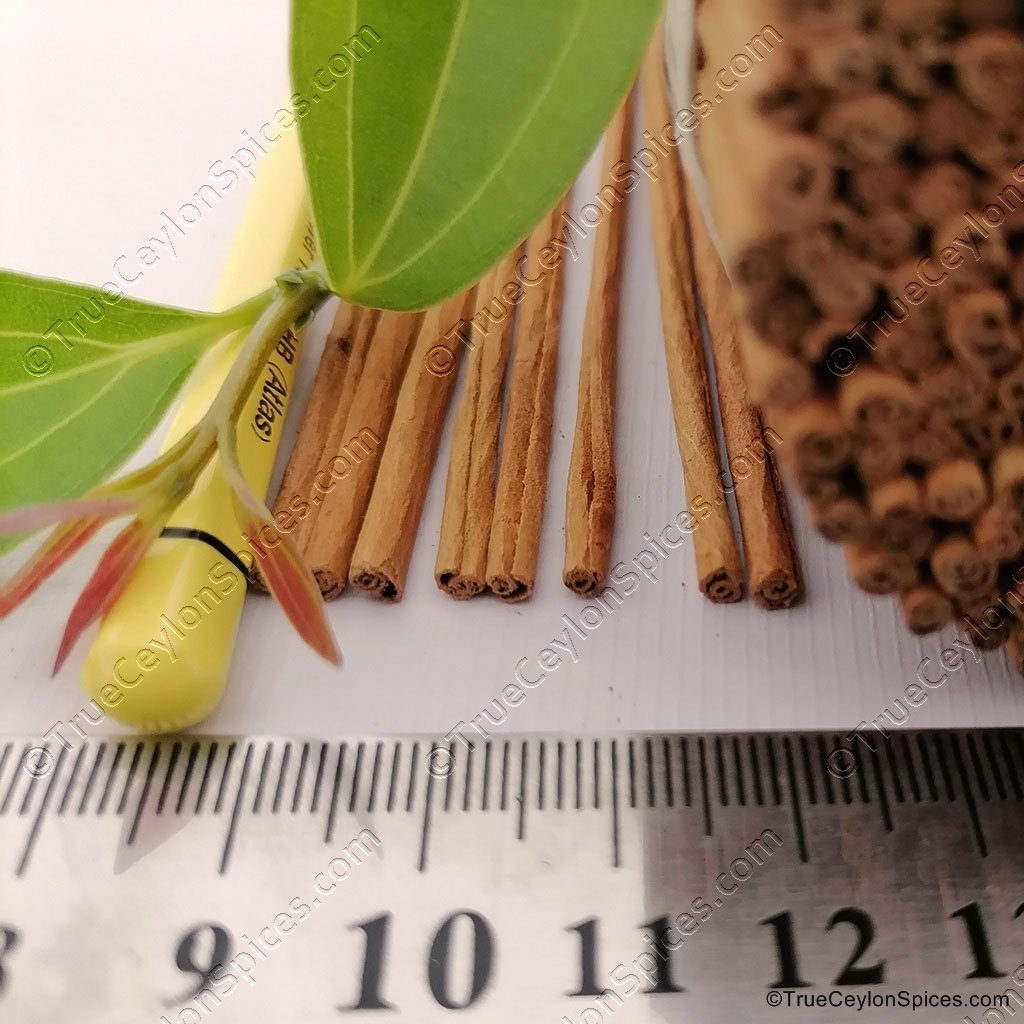 Ultra Slim Ceylon Cinnamon - Image 3