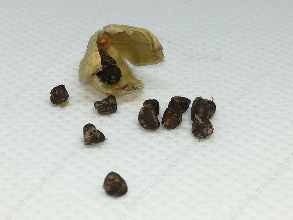 Lanka Green Cardamom - Image 3